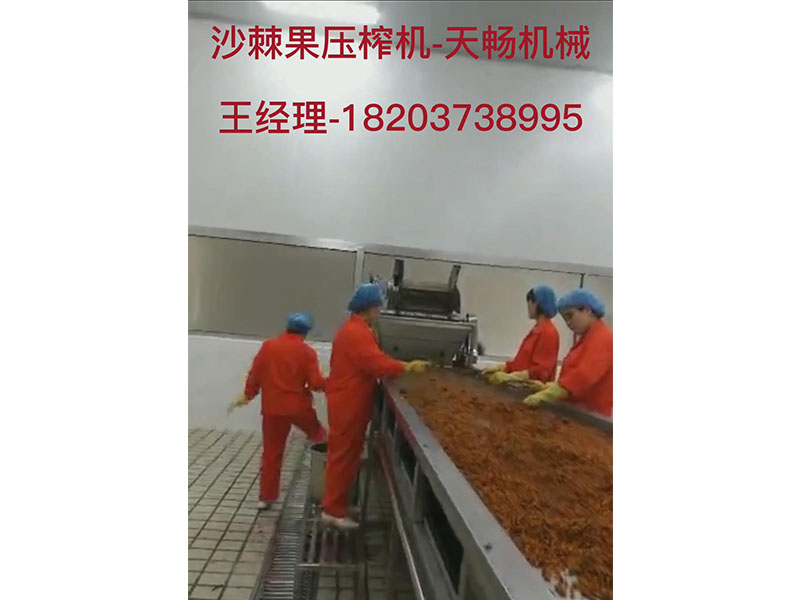 沙棘果壓榨機